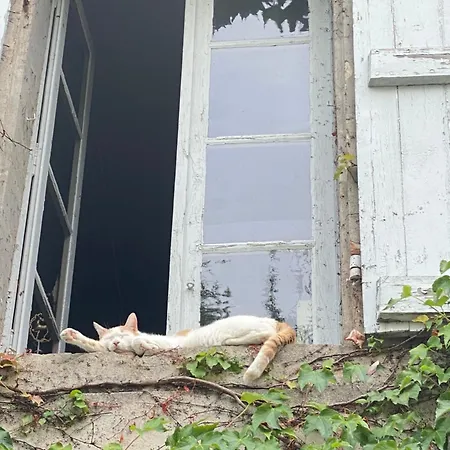 住宿加早餐酒店 Au Jardin Y 穆瓦萨克